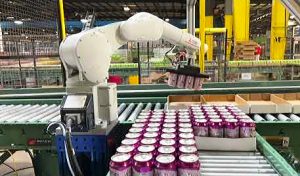 Robotic arm packing canned beverages, Southie Autonomy case study, factory automation